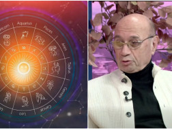 მიხეილ ცაგარელი