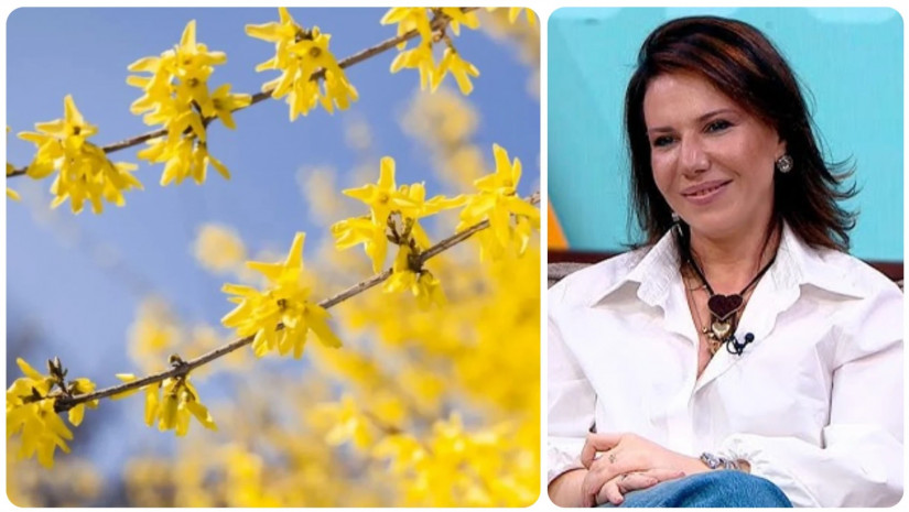 ქეთი ოდიშელი