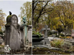 სასაფლაო სასაფლაო