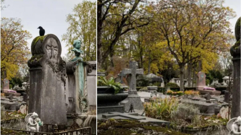 სასაფლაო სასაფლაო