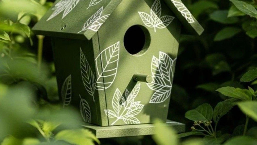 ჩიტის ბუდე