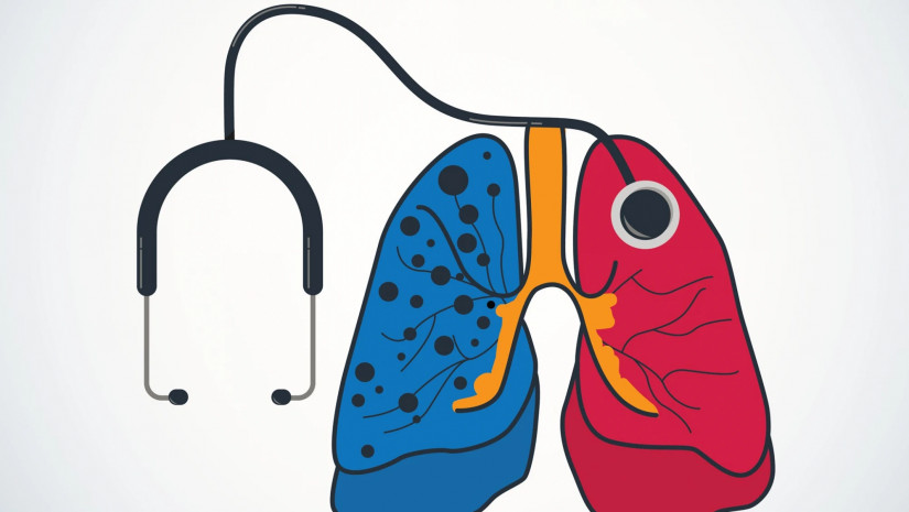 24 მარტი 24 მარტი