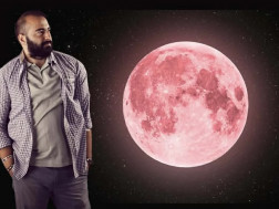 გიორგი ლობჯანიძე