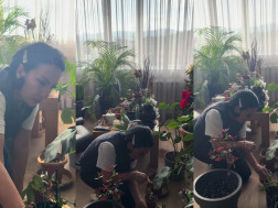 ლელა წურწუმია