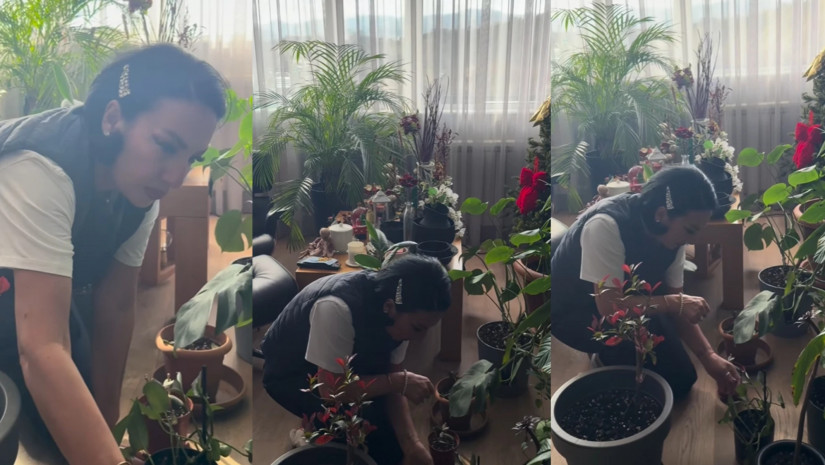 ლელა წურწუმია