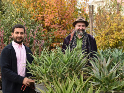 ზურა შევარდნაძე