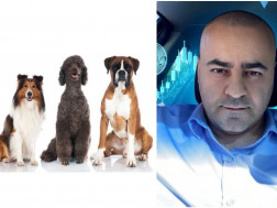 დავით თორდია