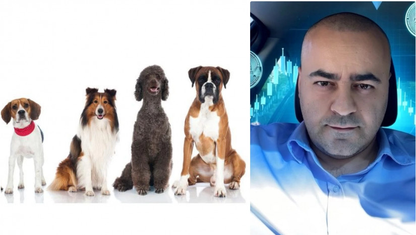 დავით თორდია