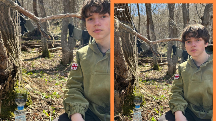 გარისა გარისა 