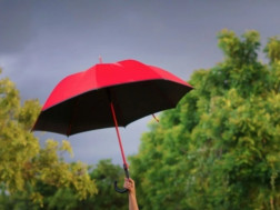 კობა ფარტენაძე