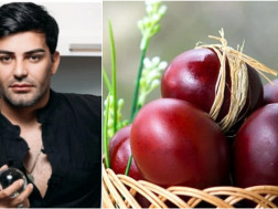 გოგა მანია