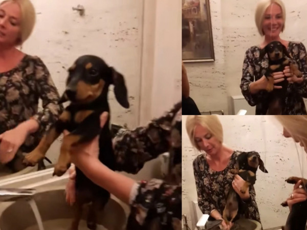 ნინო ნადირაძე