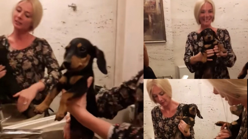 ნინო ნადირაძე