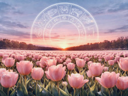 ჰოროსკოპი ჰოროსკოპი