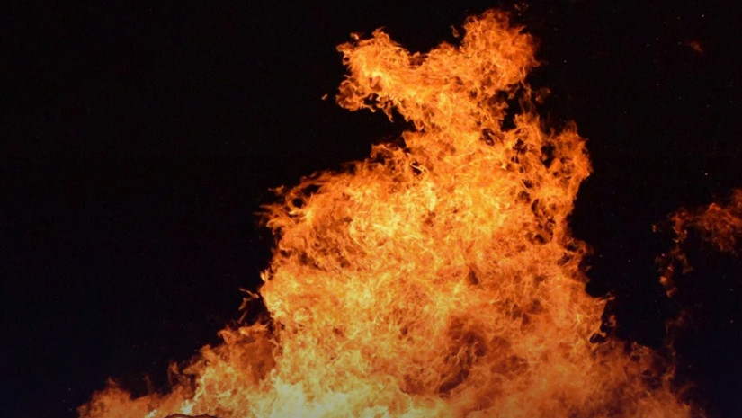 ჭიაკოკონობა