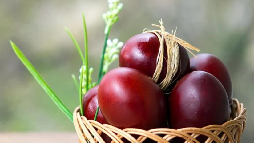 სააღდგმო კვერცი