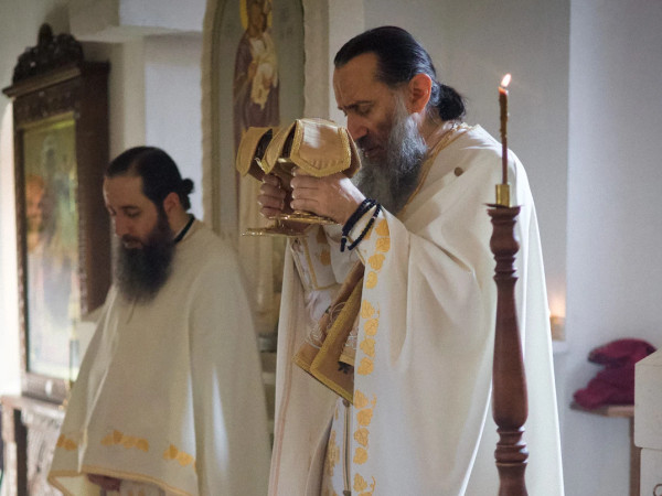 თეოდორე გიგნაძე