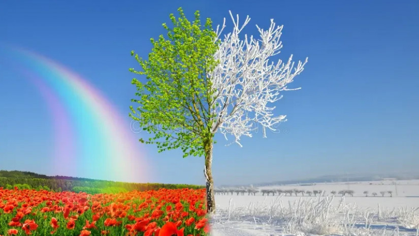 რას ნიშნავს „ნასესხები“