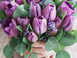 24 აპრილი 24 აპრილი