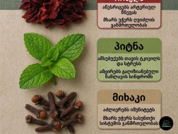 მცენარეები მცენარეები