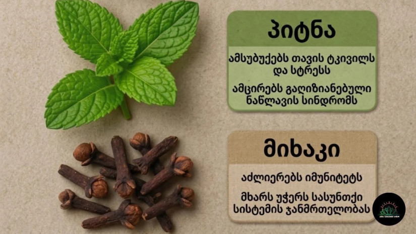 მცენარეები მცენარეები