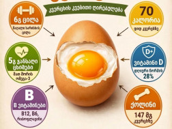 კვერცხი         