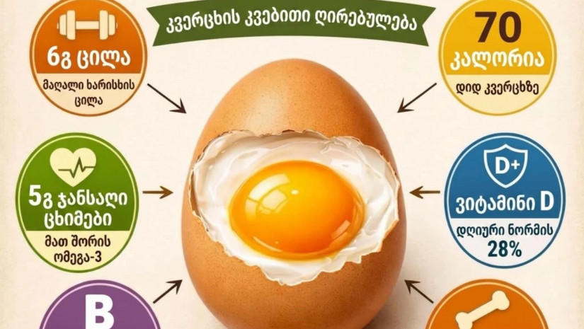 კვერცხი         