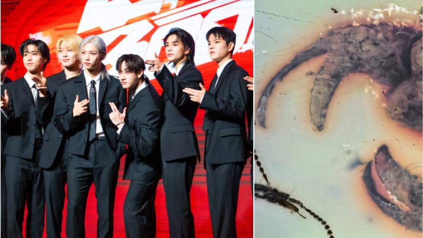 100 მილიონი წლის წინანდელ ხოჭო