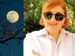 ანა ჯალაღონია