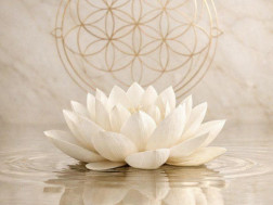 წინასწარმეტყველი ანასტასია