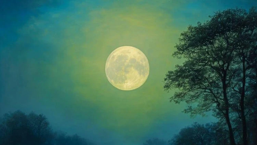 სავსე მტვარე