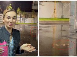  ემილი გოგუა	