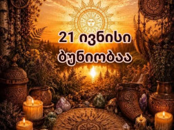 მზებუდობამზებუდობა